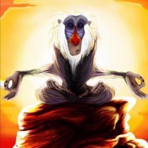 Meet your Posher, Katy